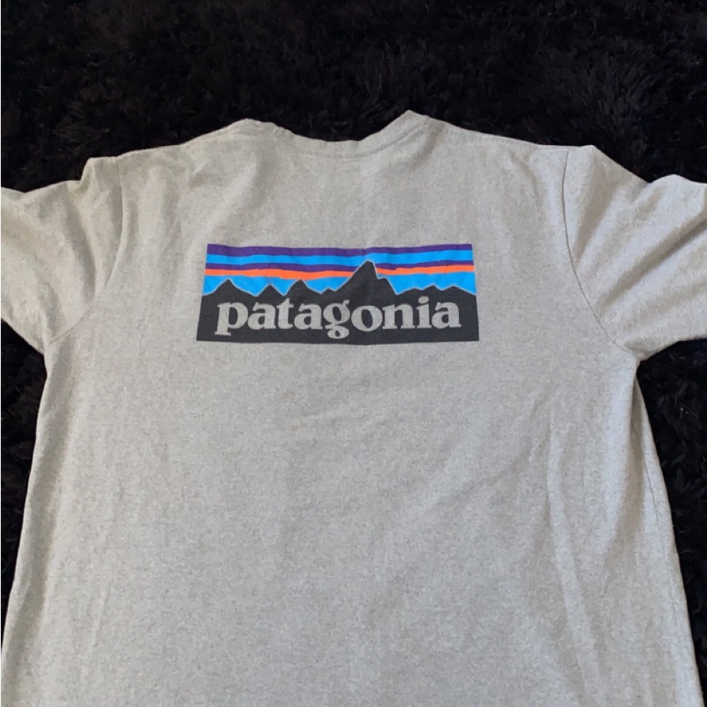 Patagonia t-shirt